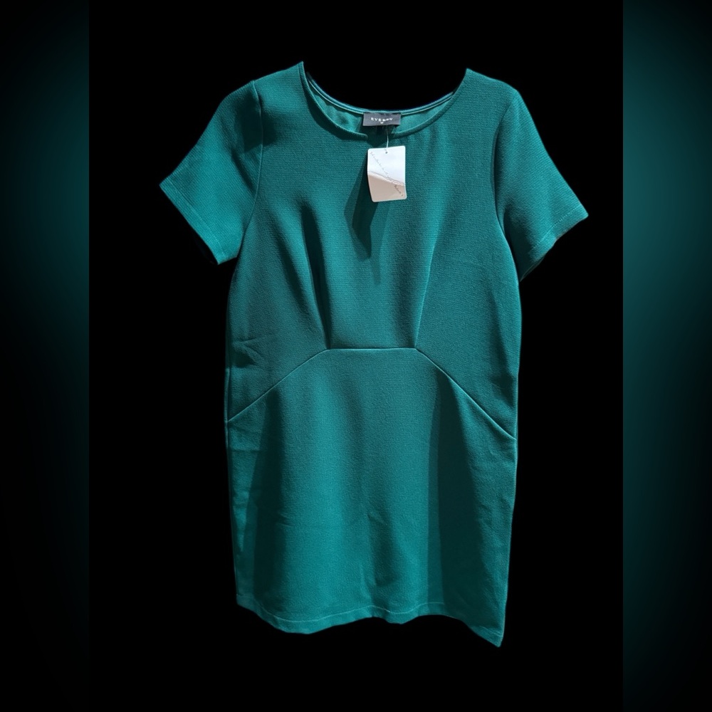 NWT- Anthropologie Everly “The Daria Dress”- Green Minimalist Dress - Small